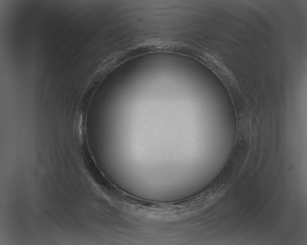X0000083550024200702240123