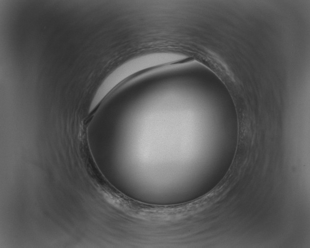 X0000083550025200702240123