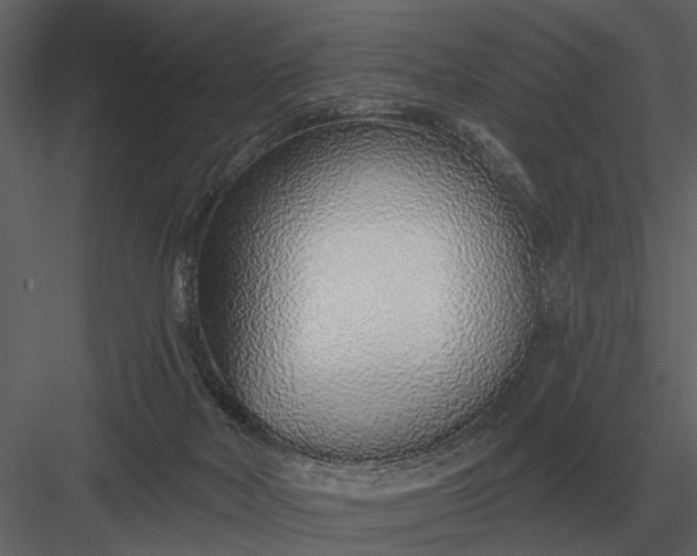 X0000083550026200702240123