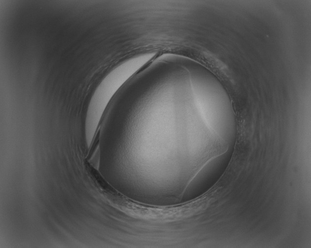 X0000083550027200702240123