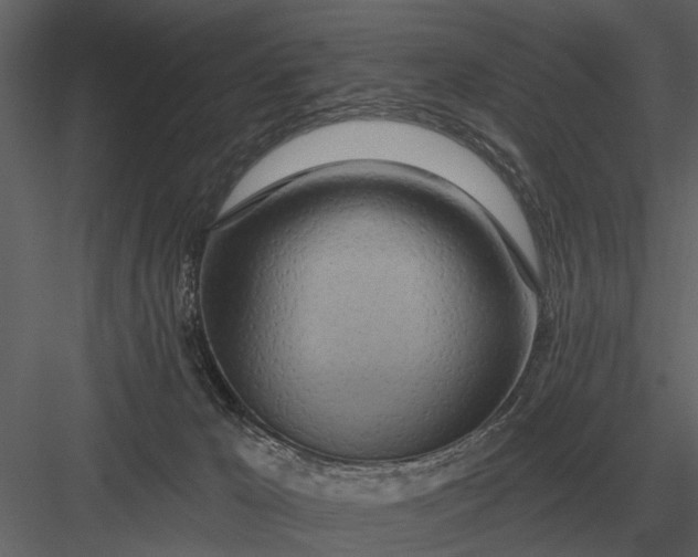 X0000083550029200702240123