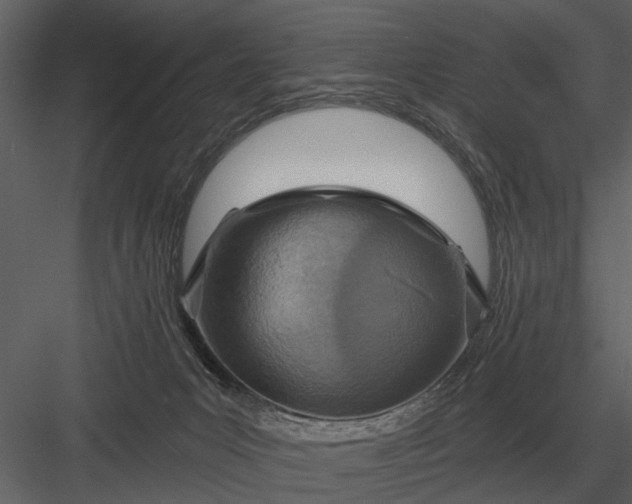 X0000083550031200702240123