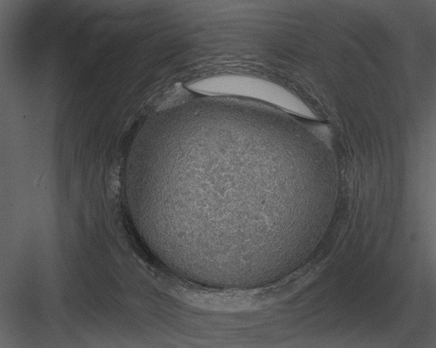 X0000083550032200702240123