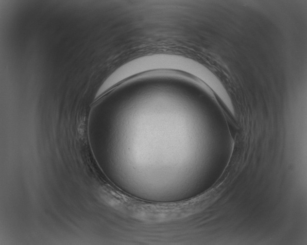X0000083550033200702240123