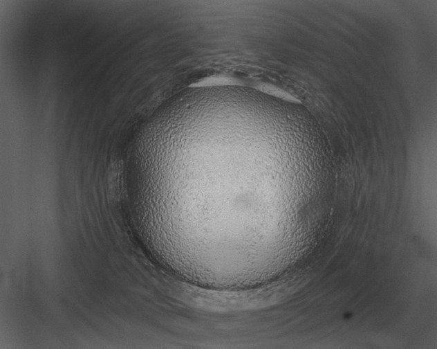 X0000083550034200702240123