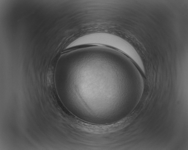 X0000083550035200702240123