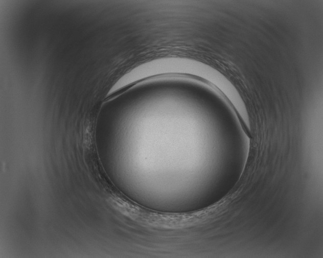 X0000083550037200702240123