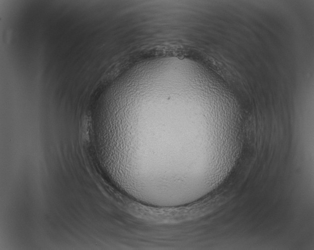 X0000083550038200702240123