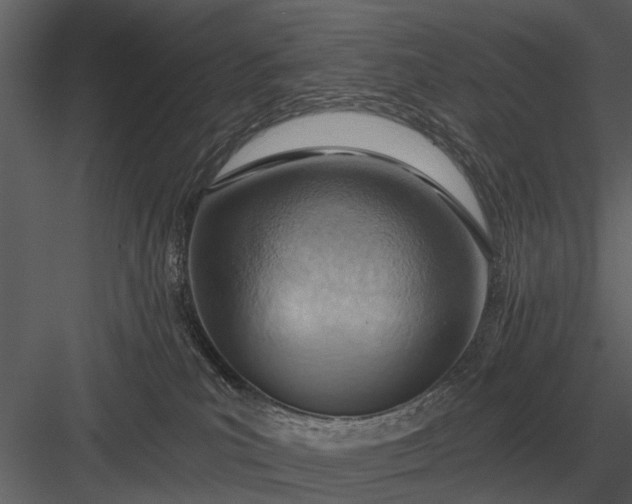 X0000083550039200702240123