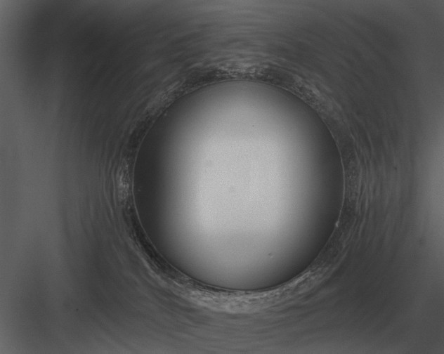 X0000083550040200702240123