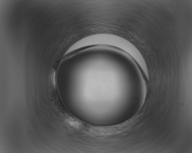 X0000083550041200702240123