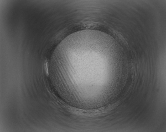 X0000083550042200702240123