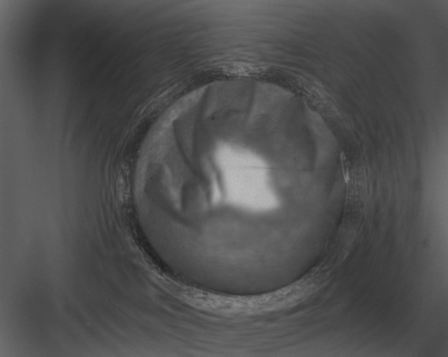 X0000083550043200702240123