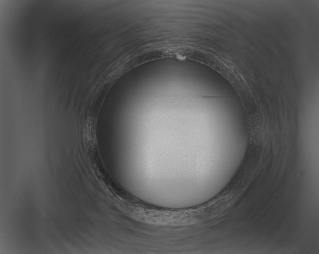 X0000083550044200702240123