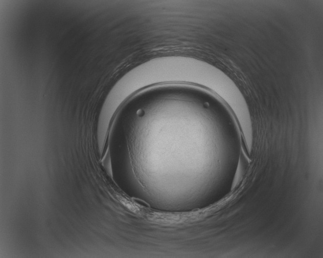 X0000083550045200702240123