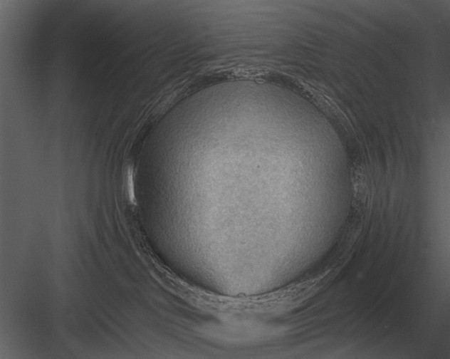 X0000083550046200702240123