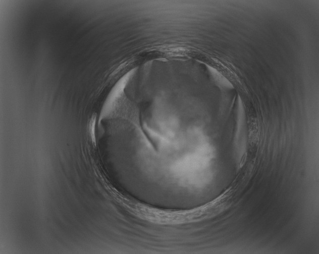 X0000083550047200702240123