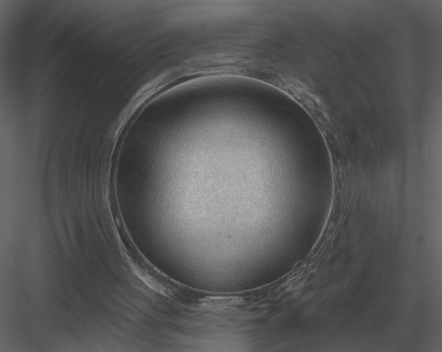 X0000083550051200702240122