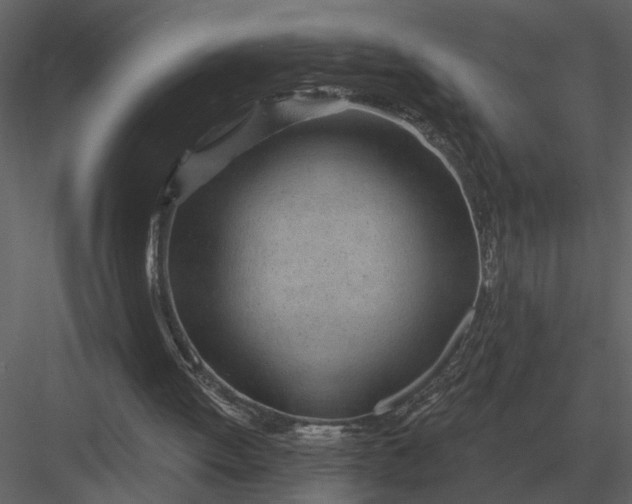 X0000083550052200702240122