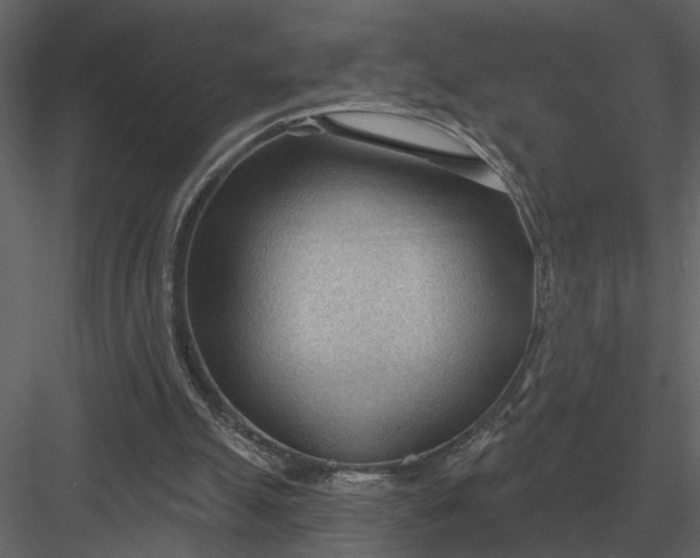 X0000083550055200702240122