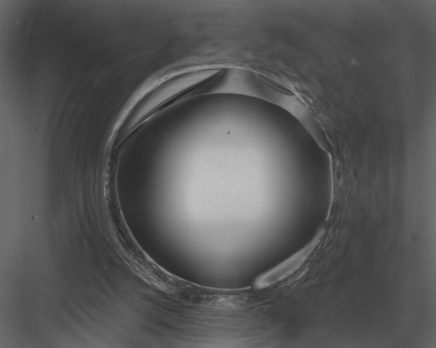 X0000083550056200702240122