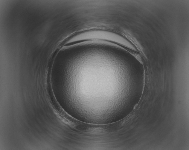 X0000083550058200702240122