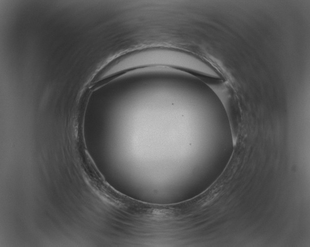 X0000083550060200702240122