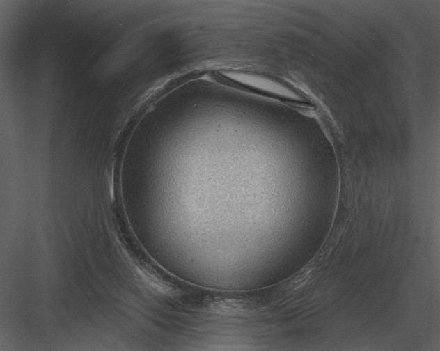 X0000083550062200702240122
