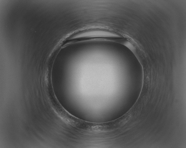 X0000083550064200702240122