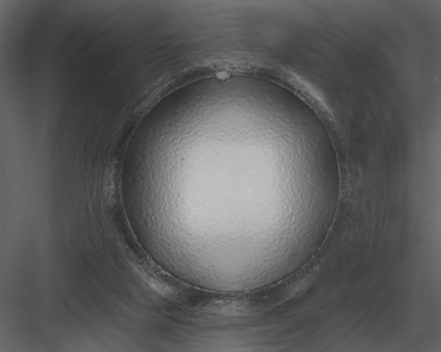 X0000083550065200702240122