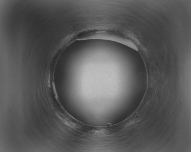 X0000083550068200702240122