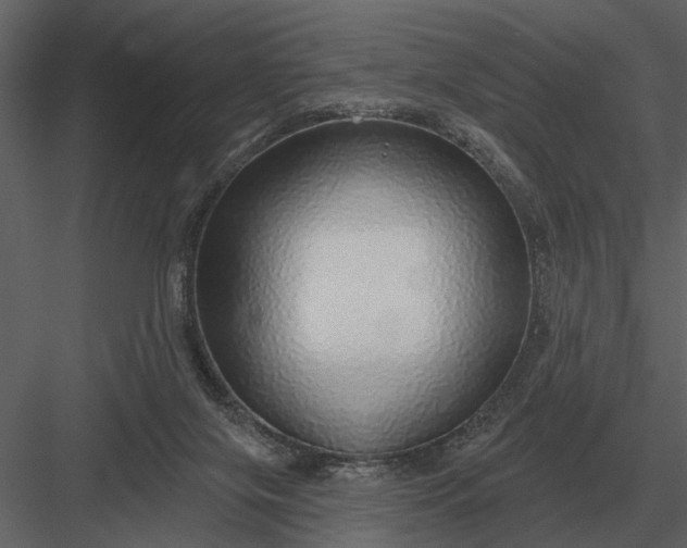 X0000083550071200702240122