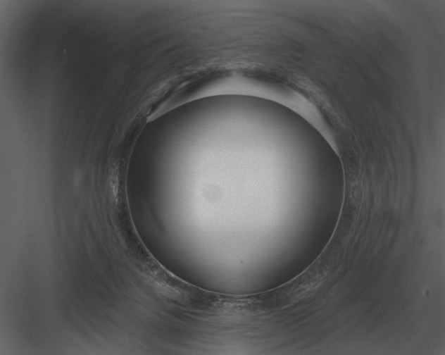 X0000083550072200702240122