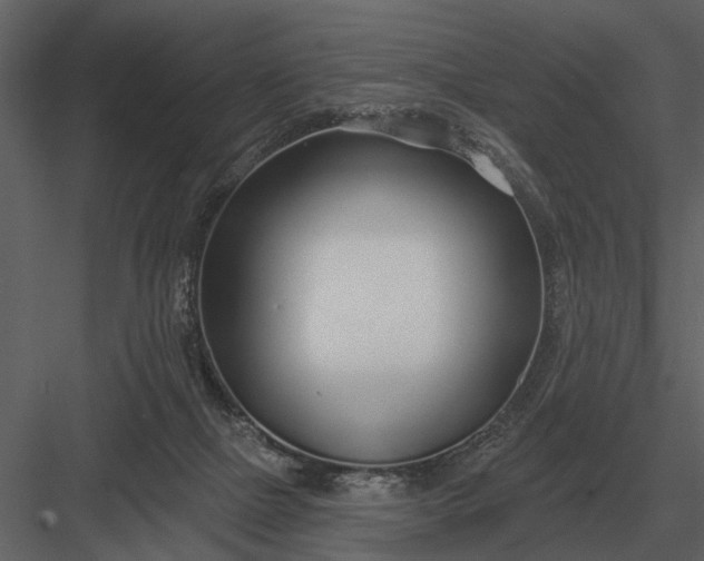 X0000083550073200702240122