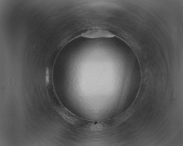 X0000083550075200702240122