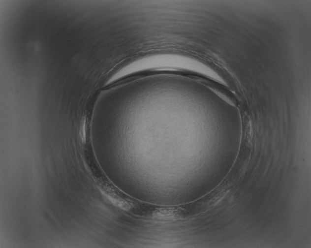 X0000083550076200702240122