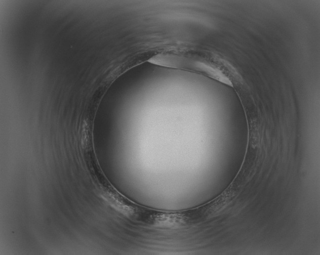 X0000083550077200702240122