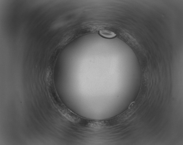 X0000083550079200702240122