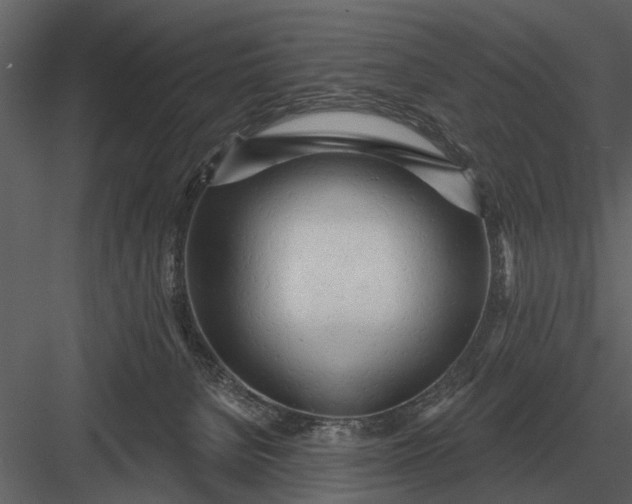 X0000083550080200702240122