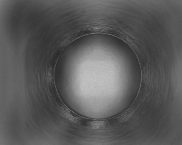 X0000083550085200702240122