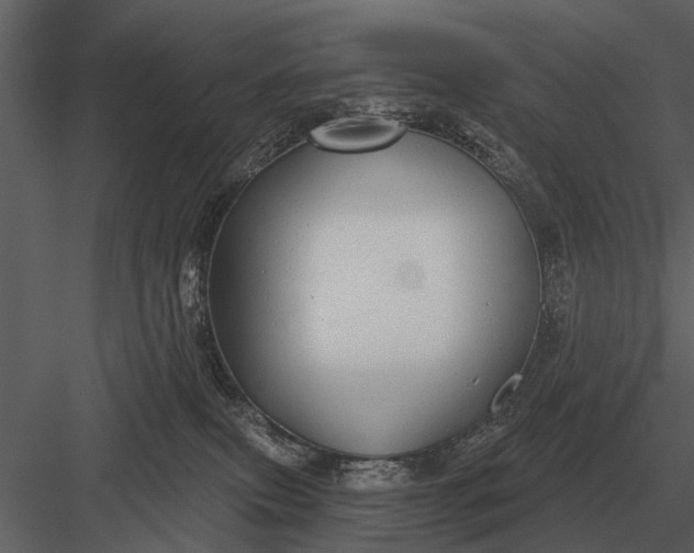 X0000083550087200702240122