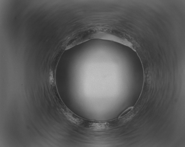 X0000083550089200702240122