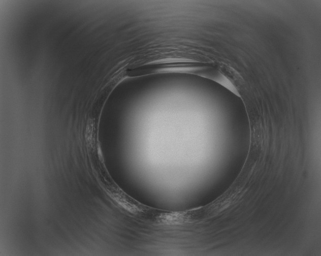 X0000083550092200702240123