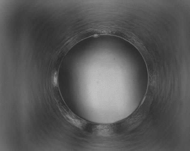 X0000083550095200702240123