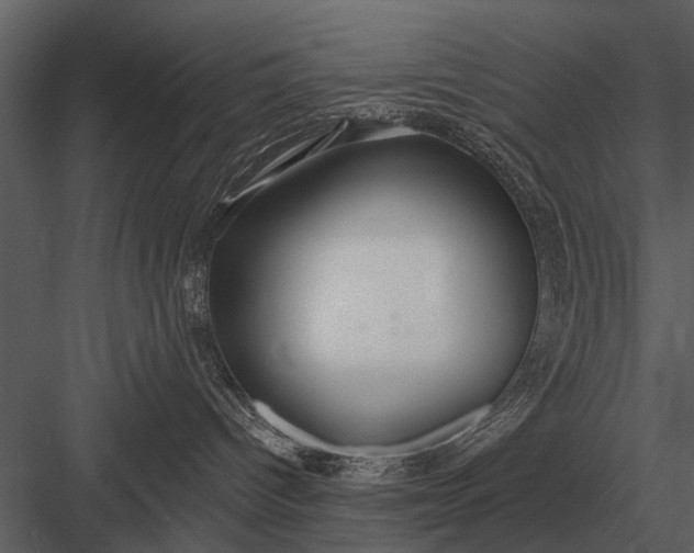 X0000083550096200702240123