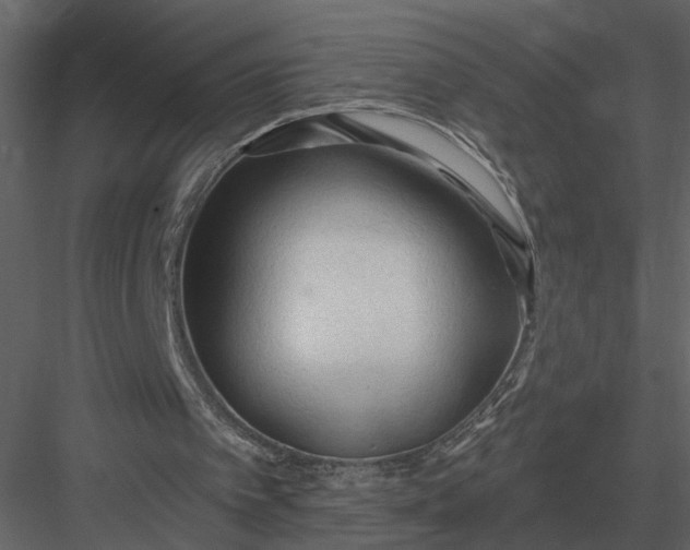 X0000083550097200702240122