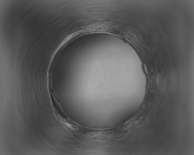 X0000083550100200702240122