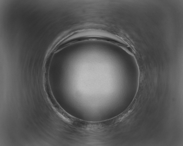 X0000083550101200702240122