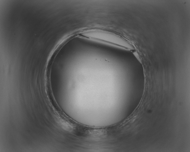 X0000083550102200702240122