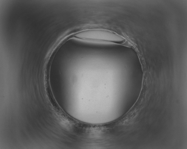 X0000083550103200702240122